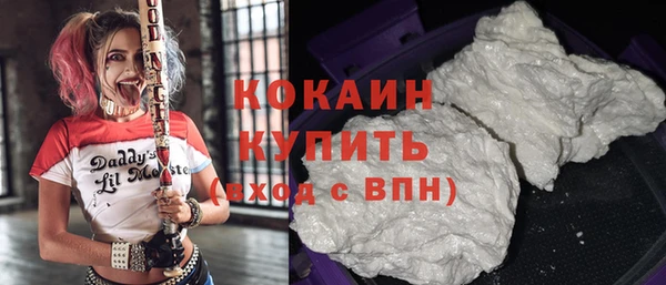 шишки Вяземский