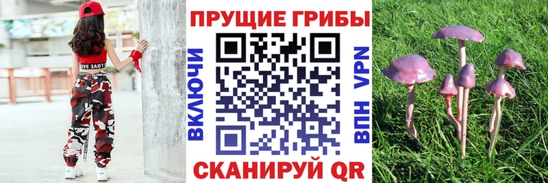 Галлюциногенные грибы мицелий  Дедовск 